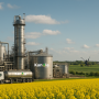 why biodiesel matters and kanola biofuels contribution in the netherlands 2025 90x90