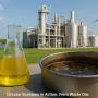 circular economy in action from waste oils to clean energy 1 90x90